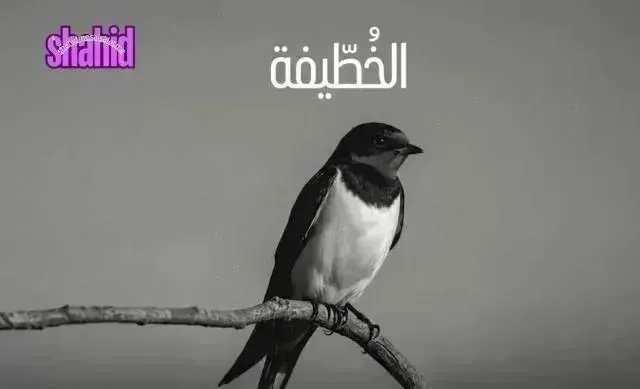مسلسل الخطيفة الحلقة 10 العاشرة