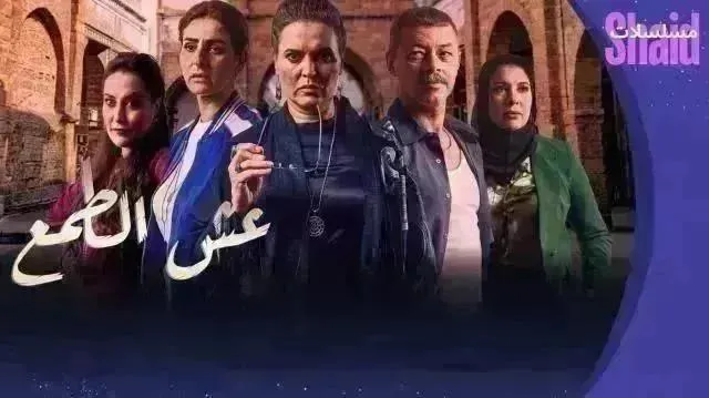 مسلسل عش الطمع الحلقة 29 التاسعة والعشرون