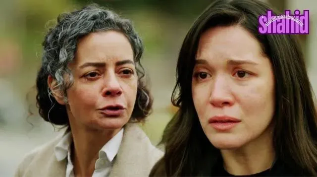 مسلسل المشردون 2 الحلقة 46 مترجمة قصة عشق